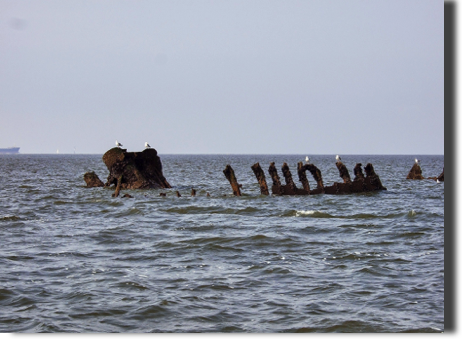 Reste Mast und Spanten Reste Mast und Spanten